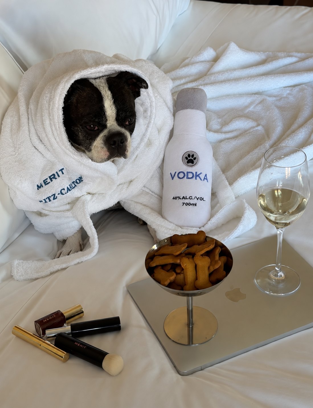 The Happy Hour Toy — perro con el juguete (Vodka)