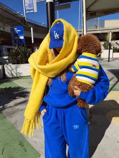 The Riviera Sweater — perro con la prenda (Rayas azules y amarillas)