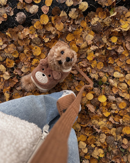 The Little Bear Vest — perro con la prenda (Marrón)