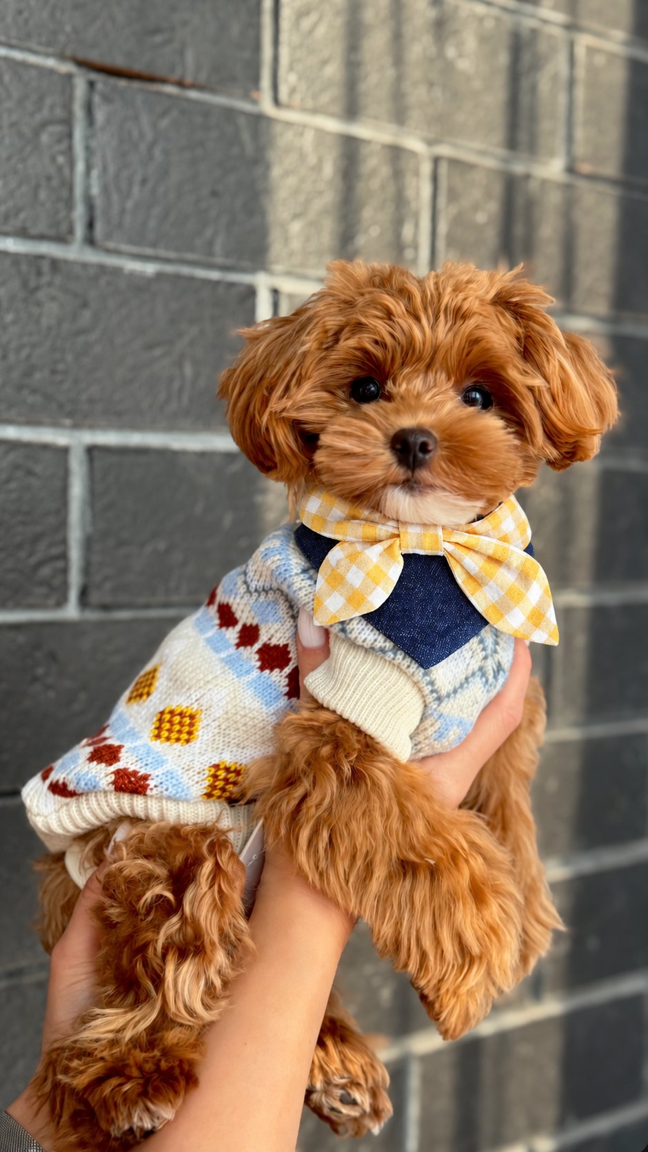 The Picnic Bandana — perro con la bandana (Rosa)