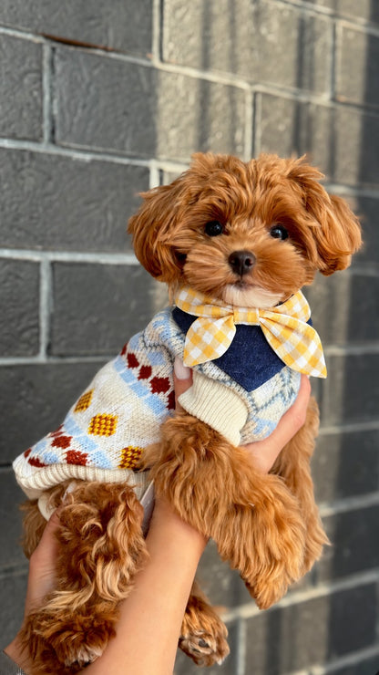The Picnic Bandana — perro con la bandana (Rosa)