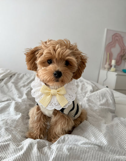 The Dolly Collar — perro con el cuello (Amarillo)