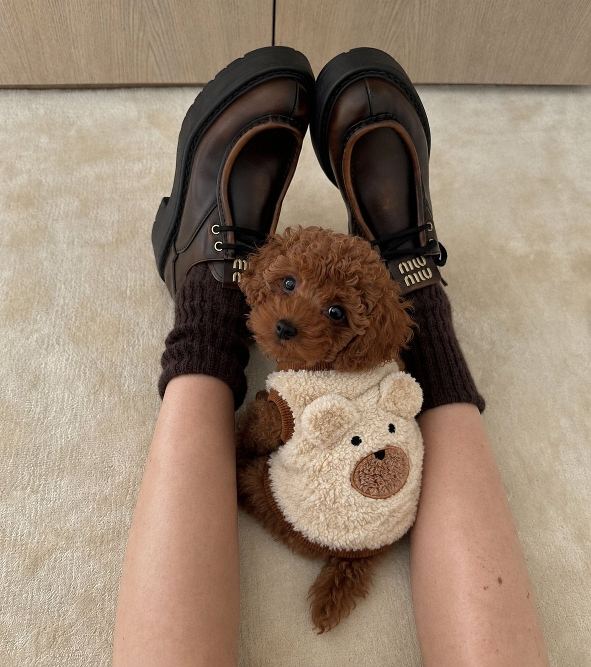 The Little Bear Vest — perro con la prenda (Crema)