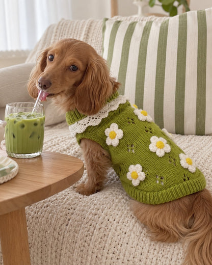The Lola Knit — perro con la prenda (Verde)