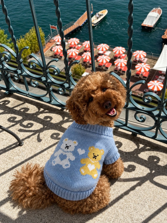 The Chalet Knit — perro con la prenda (Ositos azul cielo)