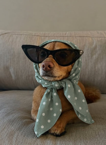 The Everyday Bandana — perro con el pañuelo (Lunares verde)