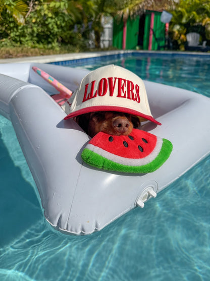 The Tutti Frutti Toy — perro con el juguete (Sandía)