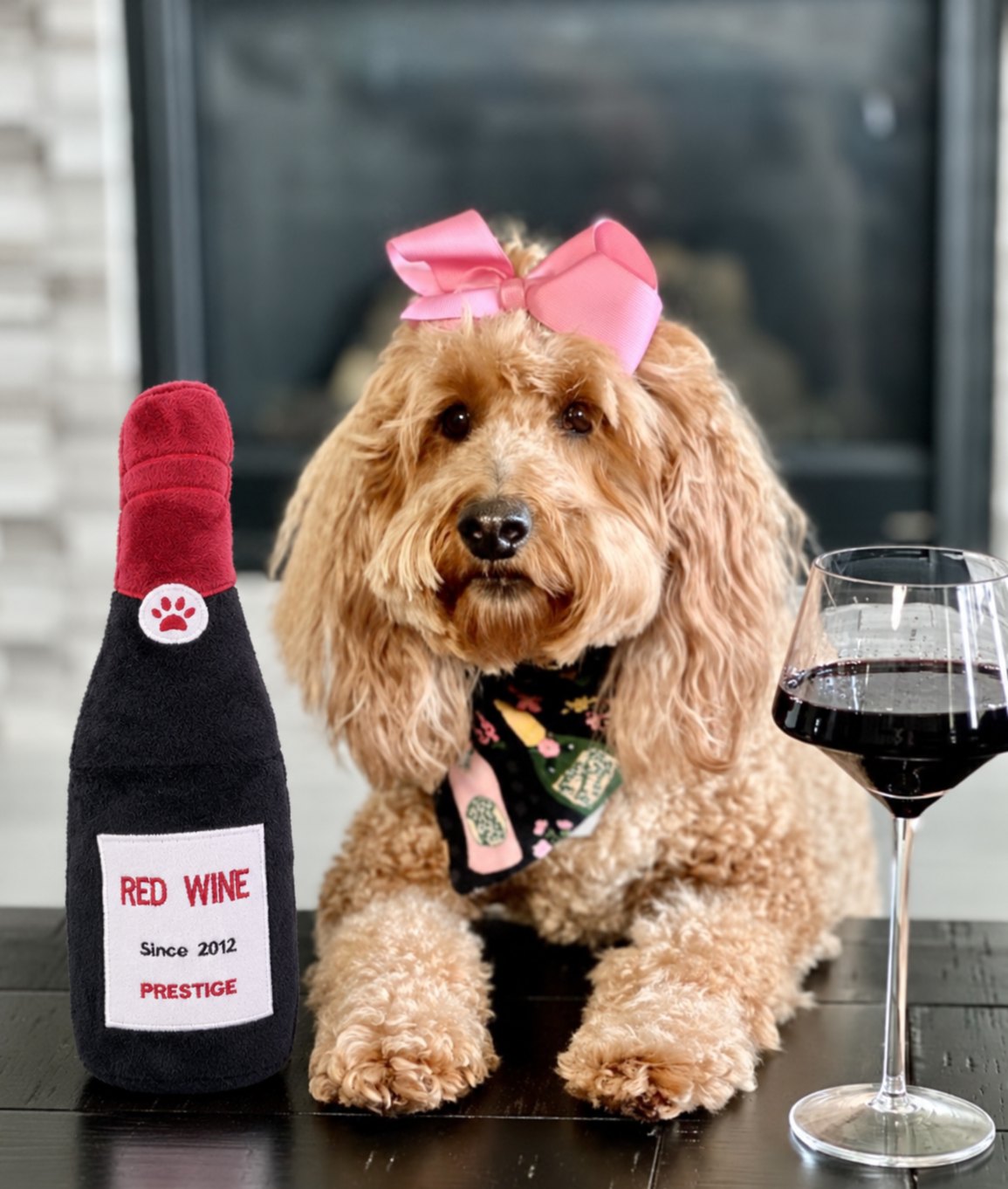 The Happy Hour Toy — perro con el juguete (Red Wine)