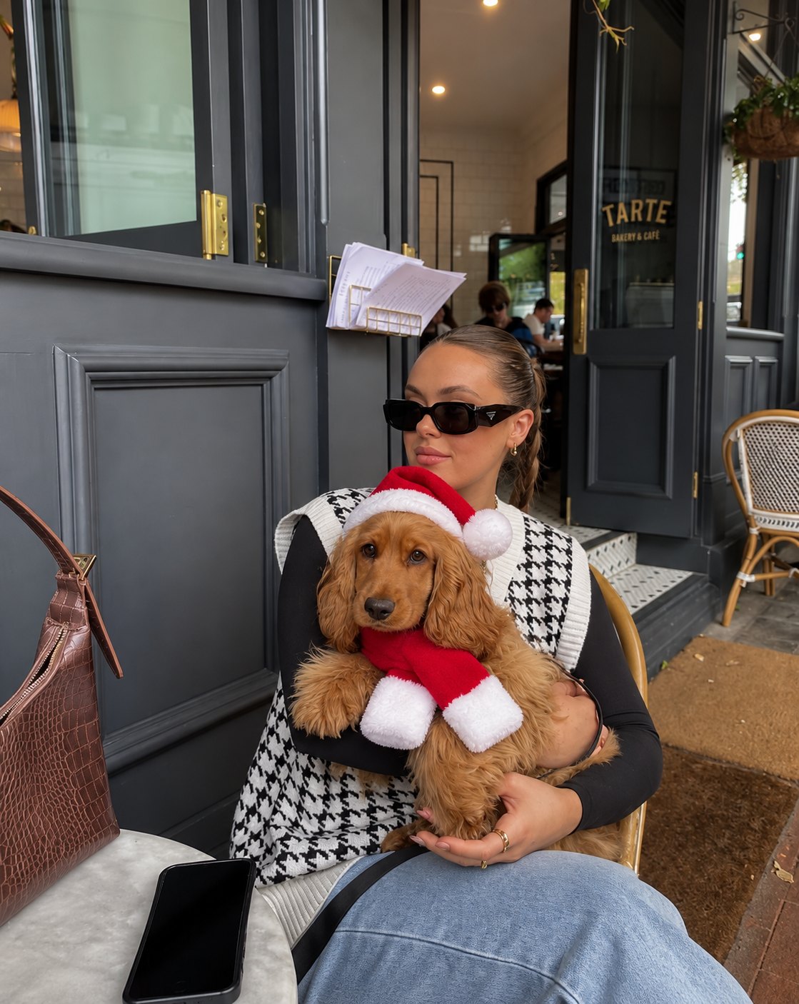 Set gorro y bufanda de Papá Noel — perro con la prenda