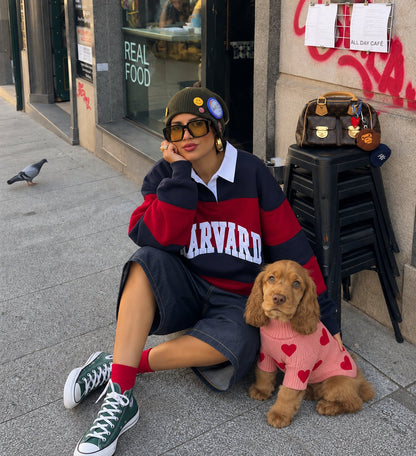 The Sweetheart Sweater — perro con la prenda (Rojo)