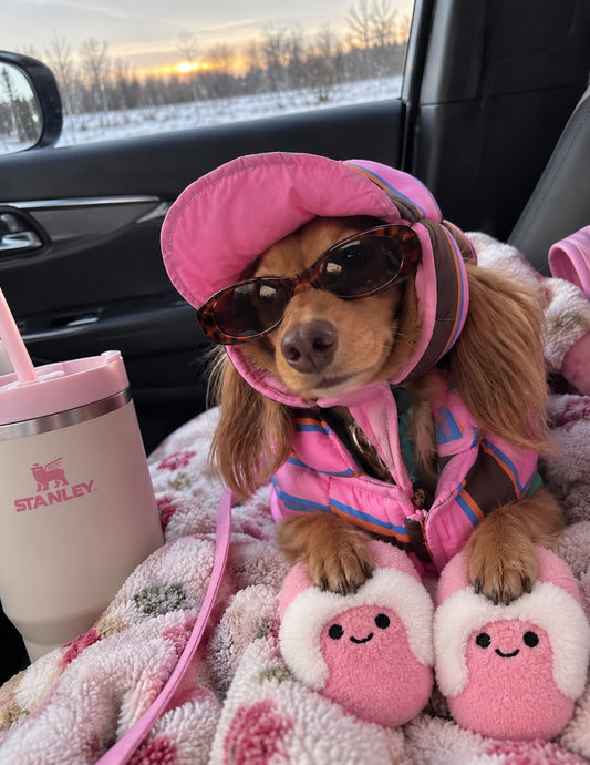 The Cozy Slipper Toy — perro con el juguete (Rosa)