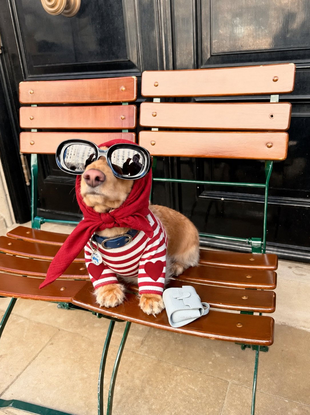 The Marinière Tee — perro con la prenda (Rojo)