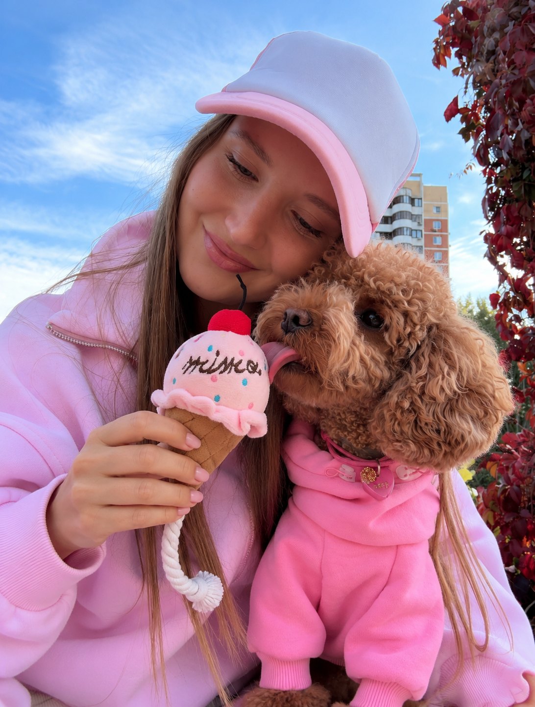 The Tutti Frutti Toy — perro con el juguete (Helado rosa)