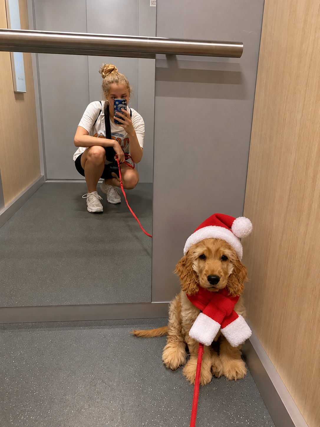 Set gorro y bufanda de Papá Noel — perro con la prenda