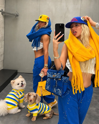 The Riviera Sweater — perro con la prenda (Rayas azules y amarillas)