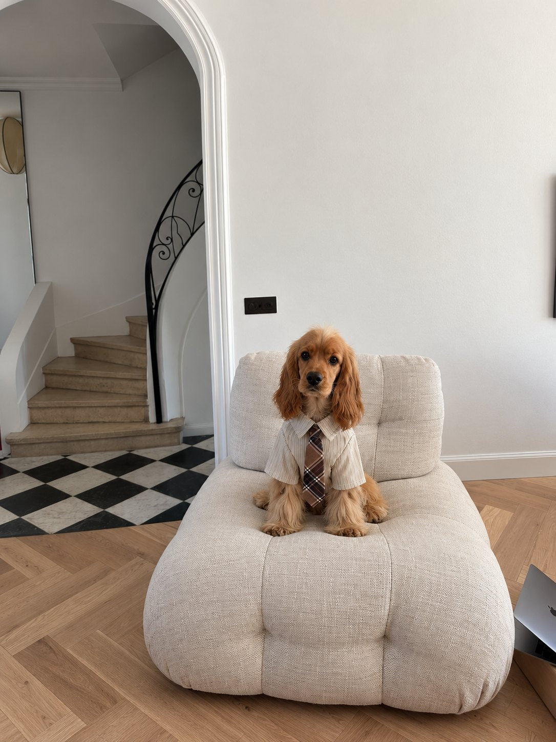 The Gentleman Shirt — perro con la prenda (Caqui)