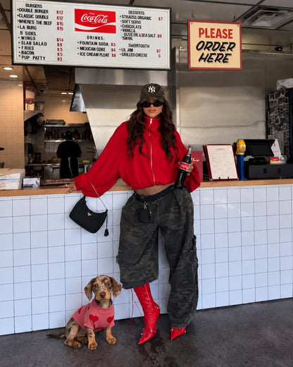 The Sweetheart Sweater — perro con la prenda (Rojo)