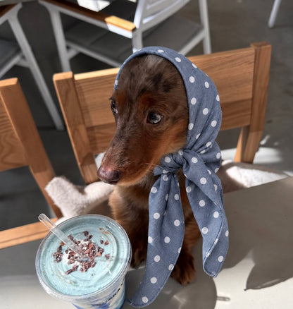 The Everyday Bandana — perro con el pañuelo (Lunares azul)