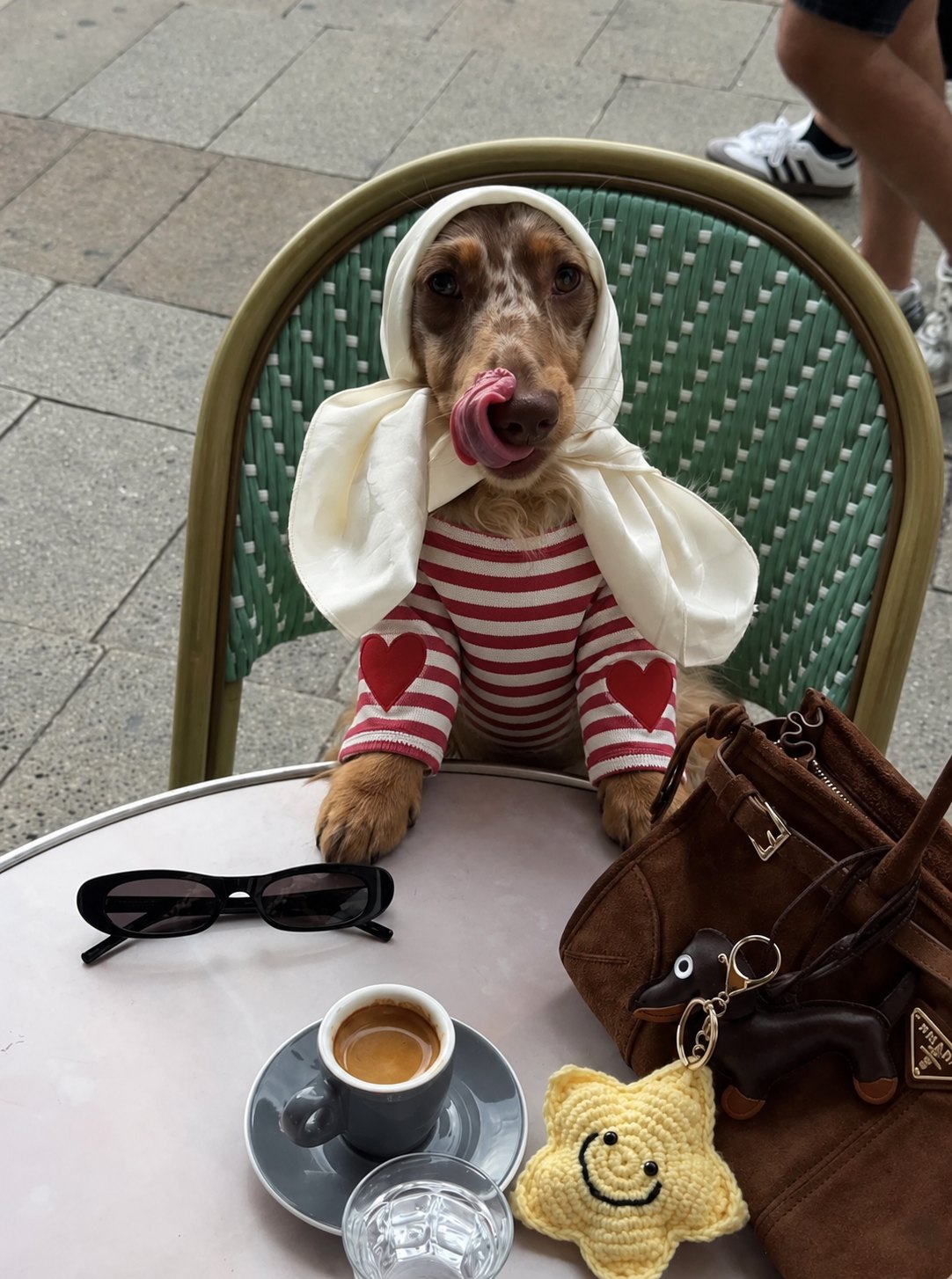 The Marinière Tee — perro con la prenda (Rojo)