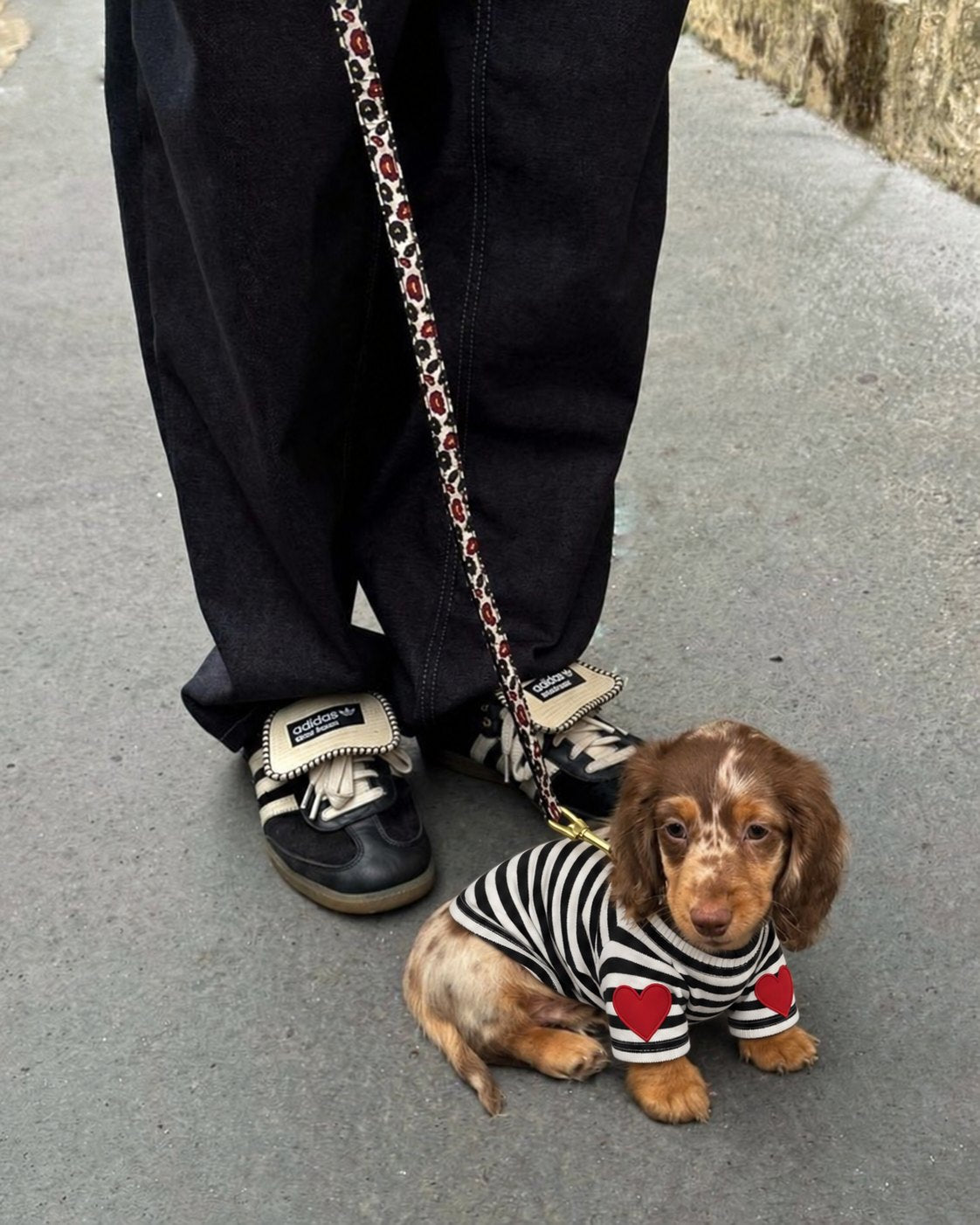 The Marinière Tee — perro con la prenda (Negro)