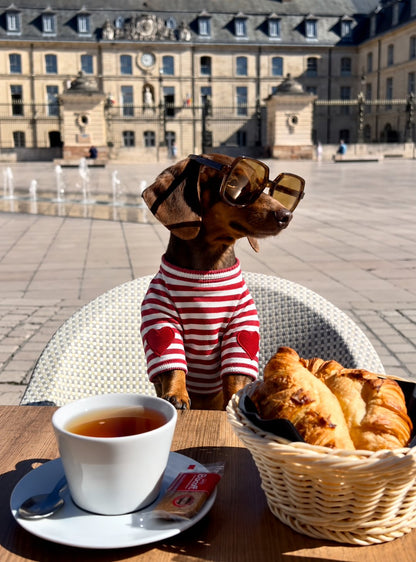 The Marinière Tee — perro con la prenda (Rojo)