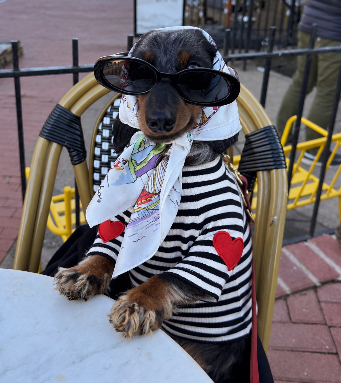 The Marinière Tee — perro con la prenda (Negro)