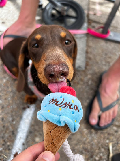 The Tutti Frutti Toy — perro con el juguete (Helado azul)