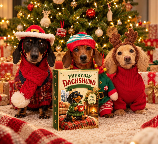 The Advent Box — calendario de Adviento (Everyday Dachshund)