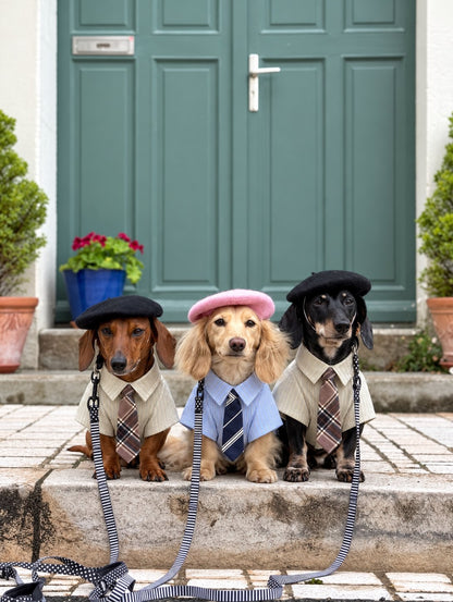 The Gentleman Shirt — perro con la prenda (Pack Azul + Caqui)