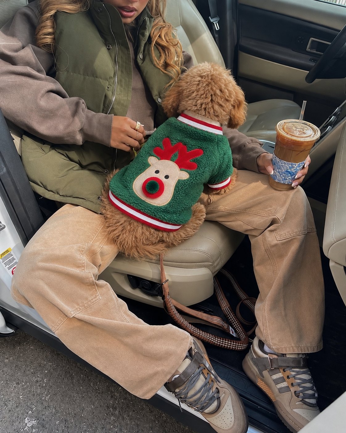 The Coco Sweater — perro con la prenda (Verde)