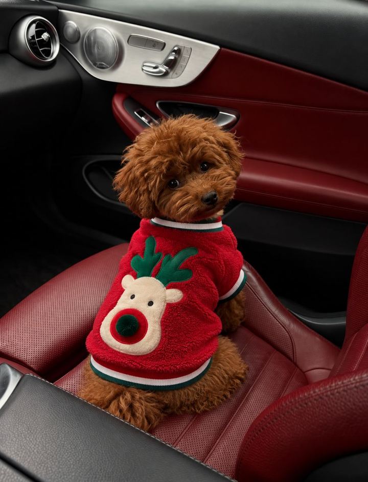 Perros con looks de la colección de Navidad de HOT DOGUE STUDIO